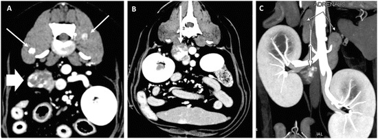Fig. 15