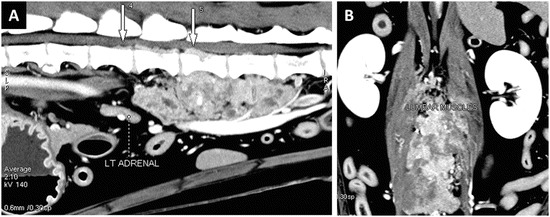 Fig. 16