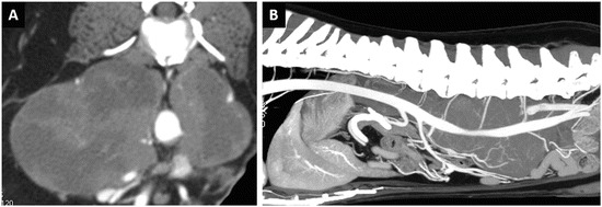 Fig. 19