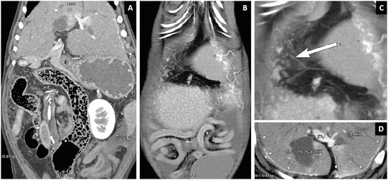 Fig. 5