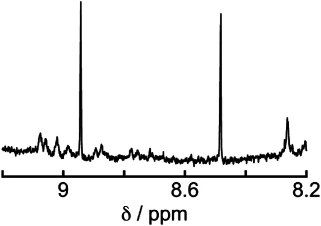 Fig. 10