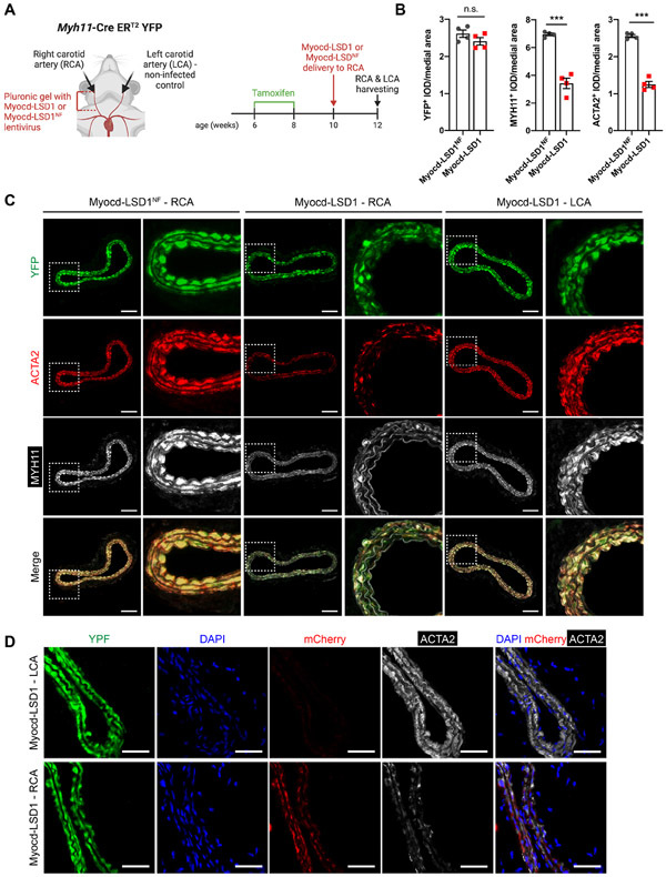 Figure 3: