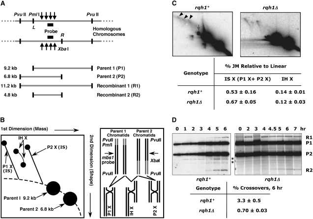 Figure 6.—