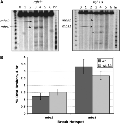 Figure 4.—