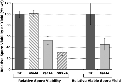 Figure 3.—