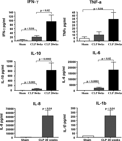 Figure 6.