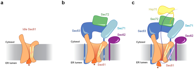 Fig. 4 |