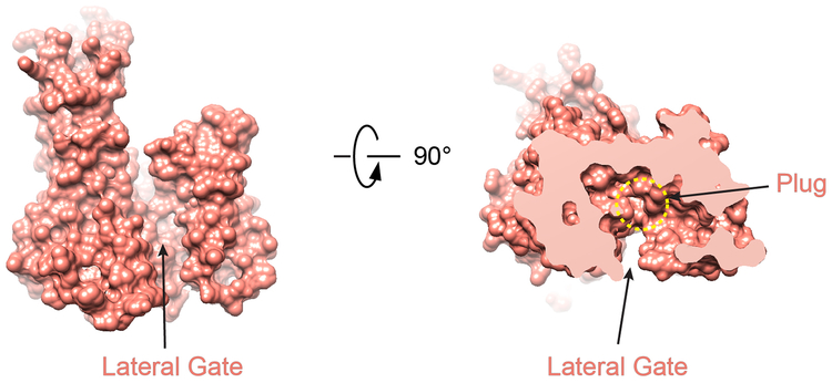 Extended Data Fig. 4 |