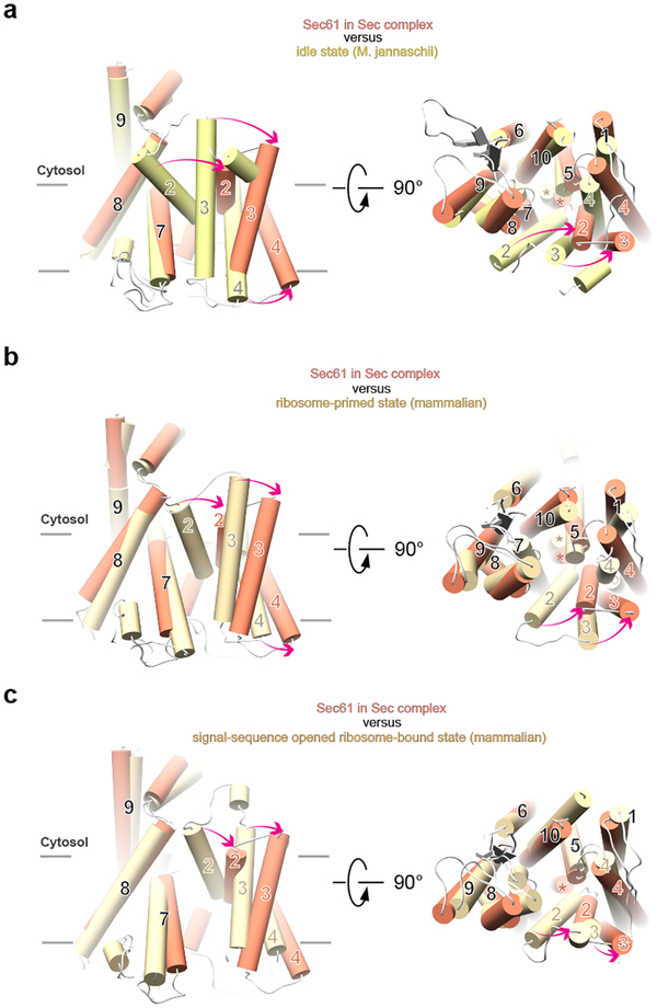 Fig. 2 |