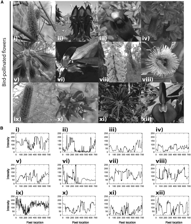 Figure 3.