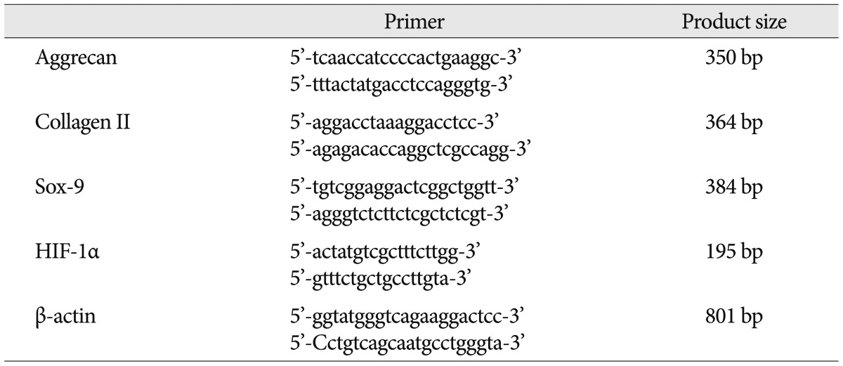 graphic file with name jkns-53-207-i001.jpg