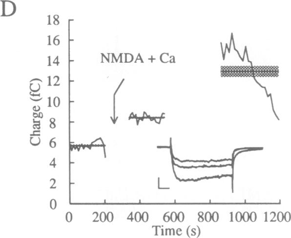 graphic file with name pnas01065-0092-a.jpg