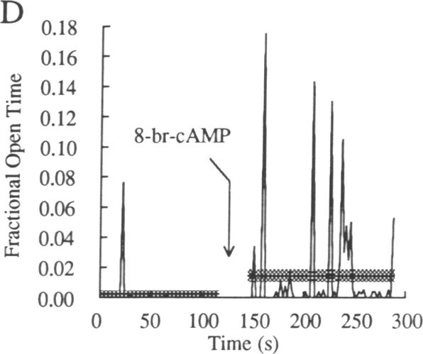 graphic file with name pnas01065-0091-b.jpg