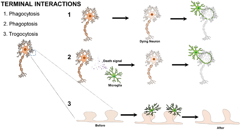 Fig. 2: