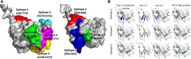 Fig 4