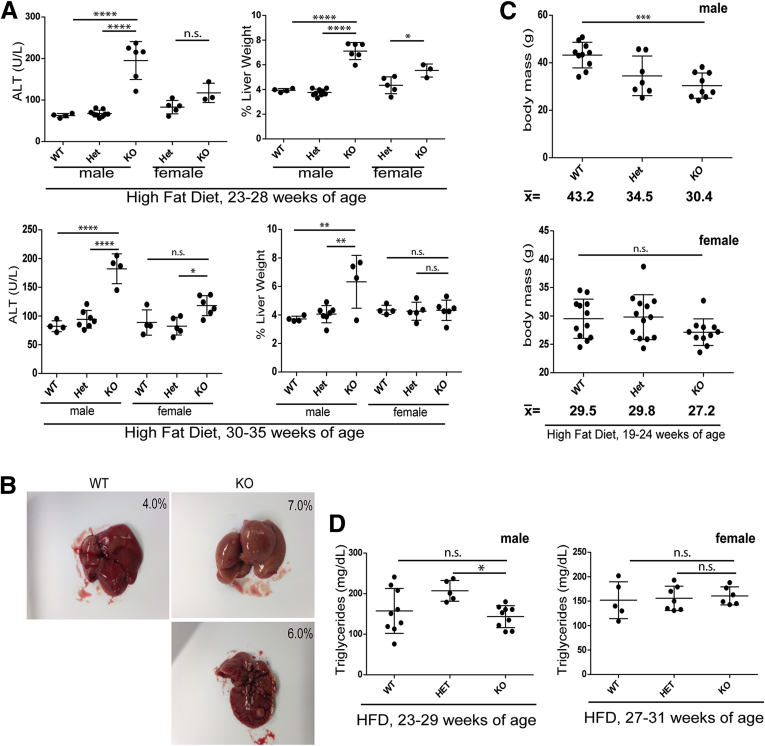 Figure 6