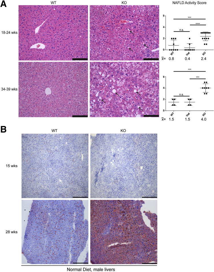 Figure 3