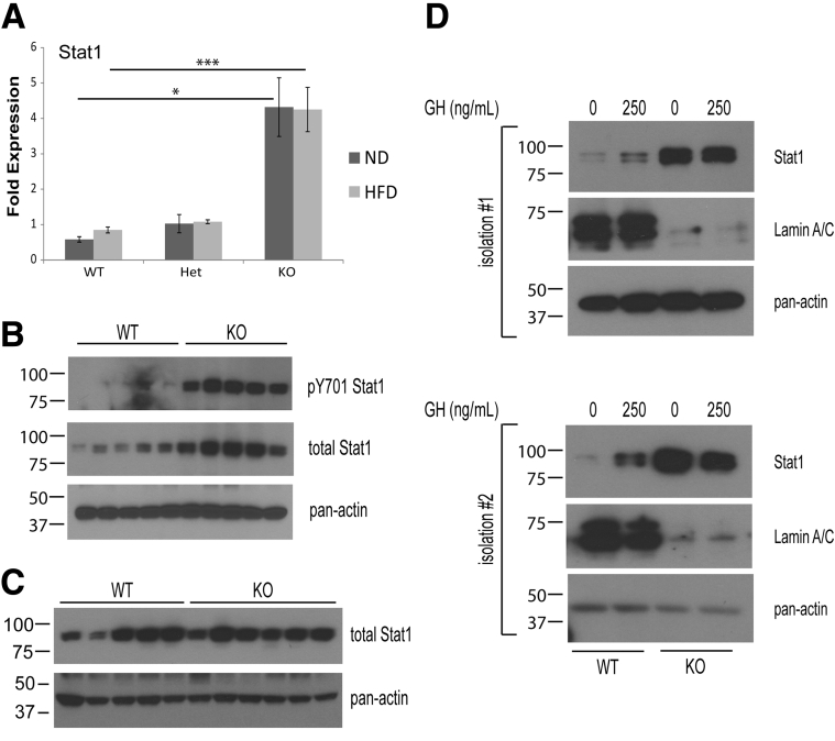 Figure 10