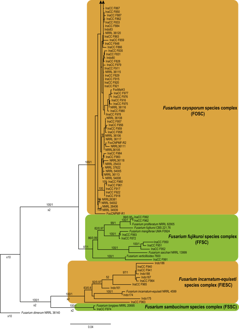 Fig. 4