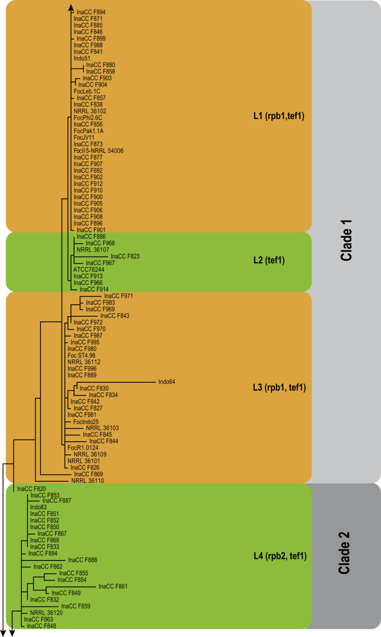 Fig. 6