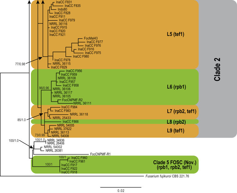 Fig. 6