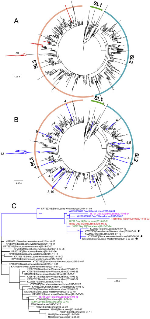 Figure 5