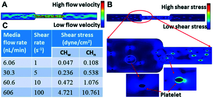 Fig. 4