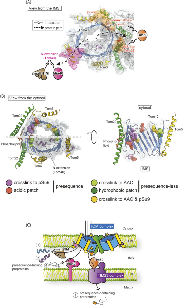 Figure 4 