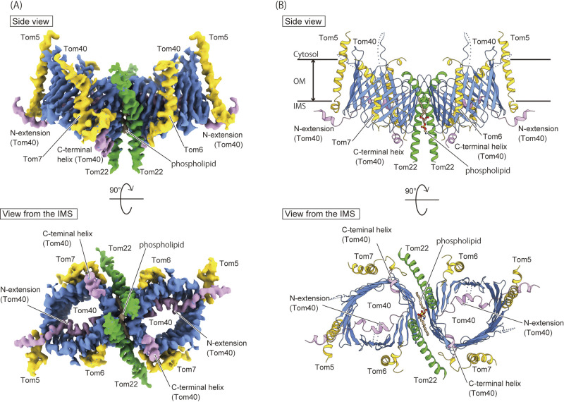 Figure 2 