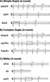 Figure 2: