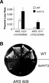 Figure 6.