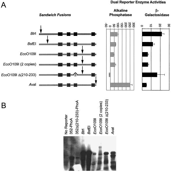 FIG. 6