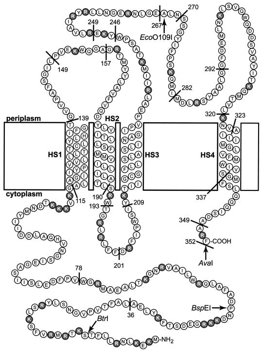 FIG. 8