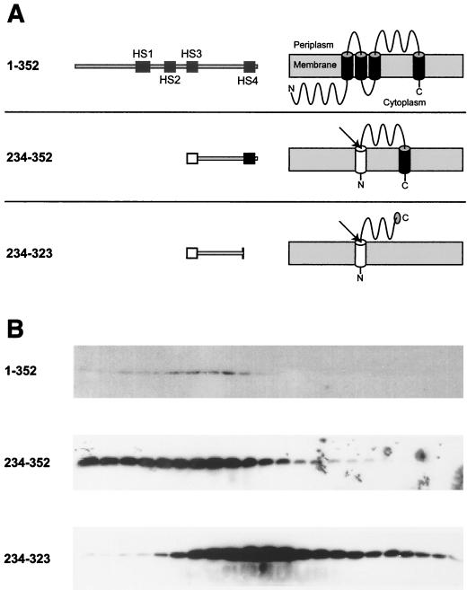 FIG. 7