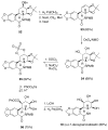 Scheme 13