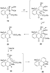 Scheme 5