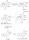 Scheme 10