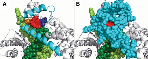 Figure 6.