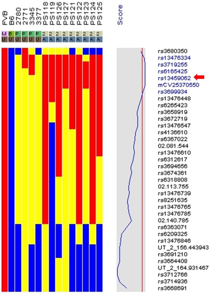 Figure 4