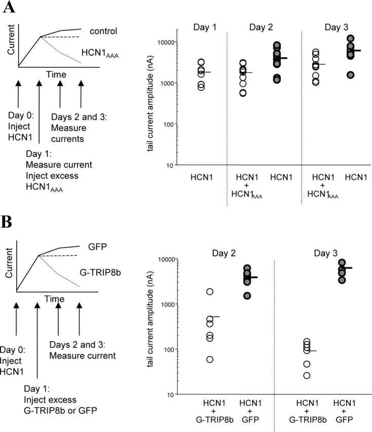 
Figure 11.
