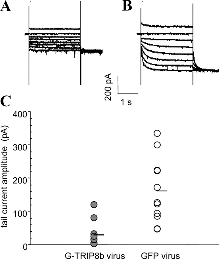 
Figure 12.
