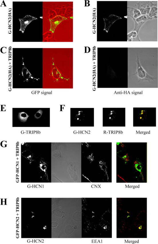 
Figure 10.
