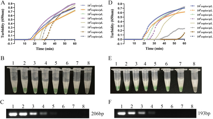 FIG 3