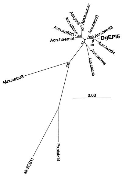 FIG. 3
