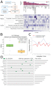 Figure 7 Transcription factor binding site motif analysis of DAVID cluster transcript promoters