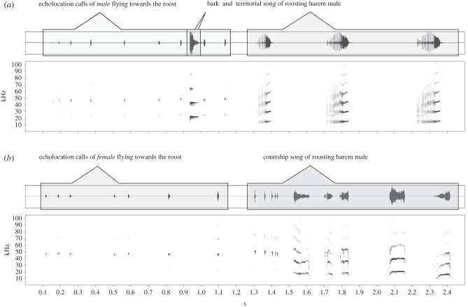 Figure 3.