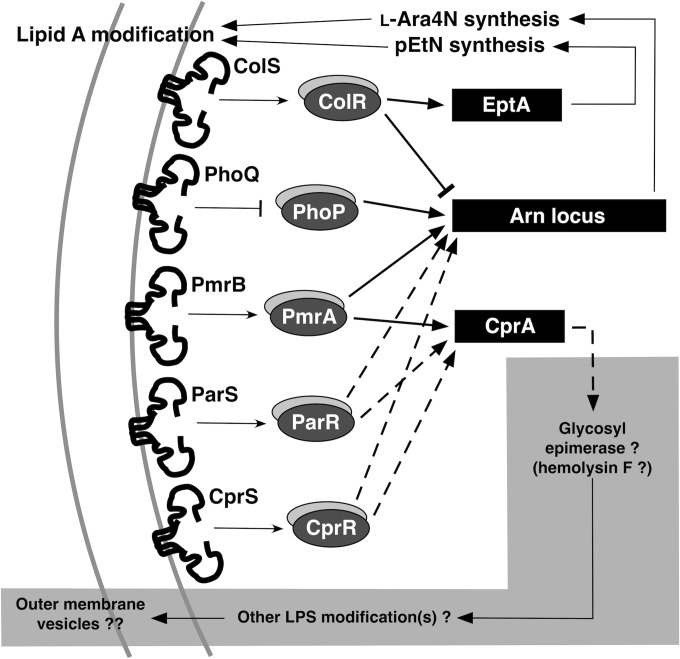 FIG 6