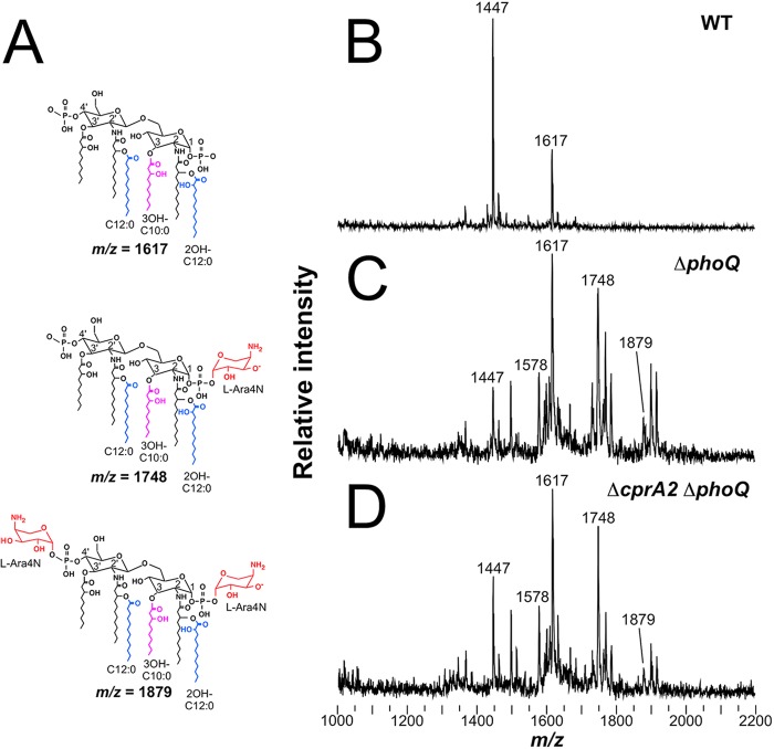 FIG 4