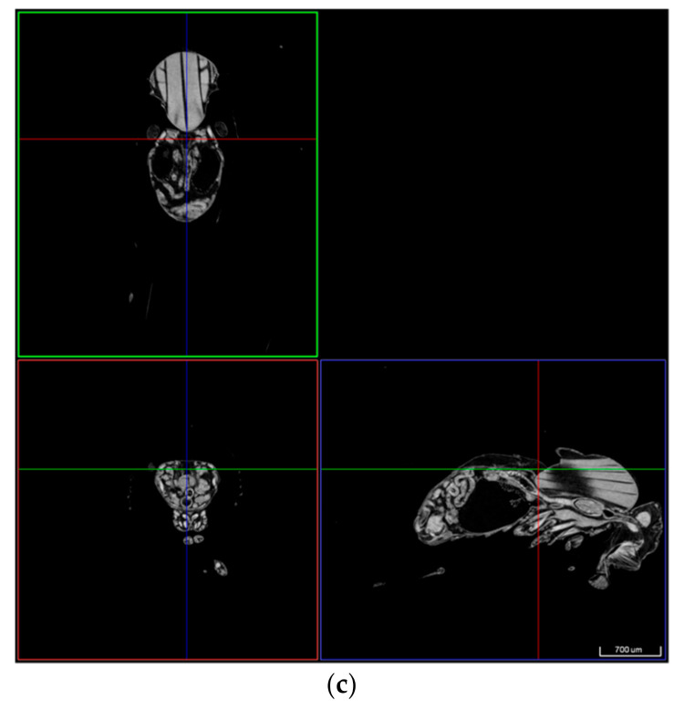 Figure 12