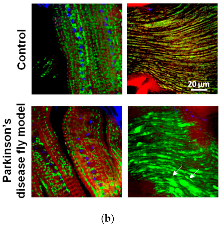 Figure 13